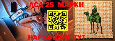 Альфа ПВП Чебоксары
