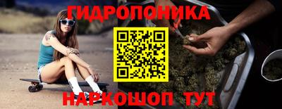 Альфа ПВП Чебоксары