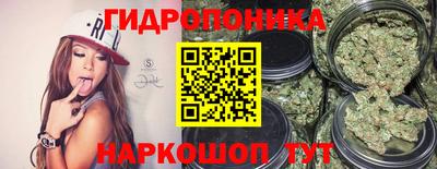 прущие грибы Чапаевск