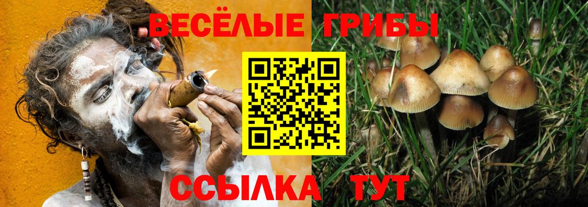 Галлюциногенные грибы GOLDEN TEACHER  Галлюциногенные грибы Psilocybine cubensis  Выборг  Вход с VPN 